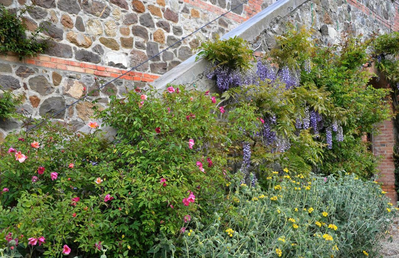 Chiarentana Di Donata Origo Villa Chianciano Terme Exteriör bild