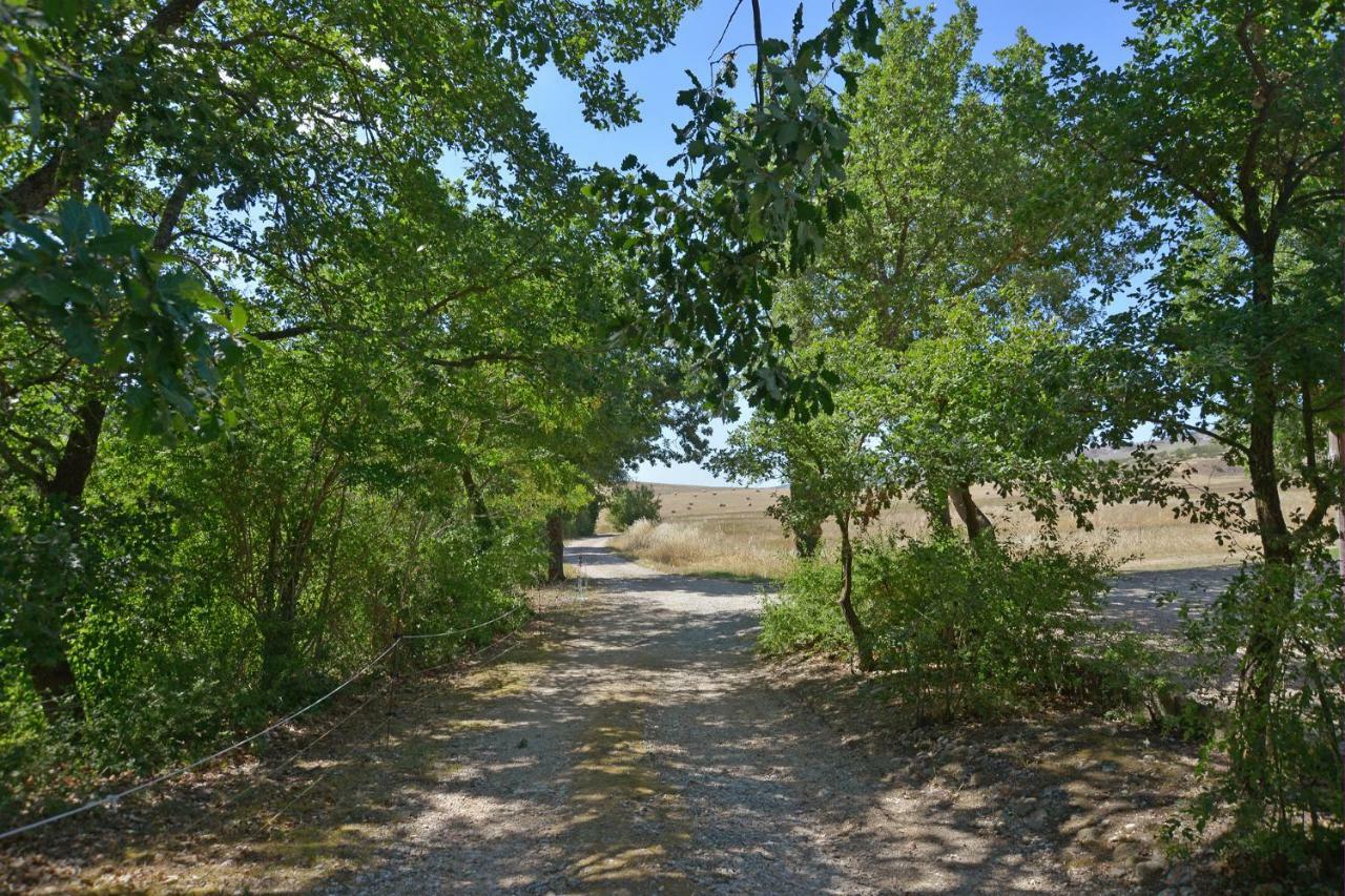 Chiarentana Di Donata Origo Villa Chianciano Terme Exteriör bild